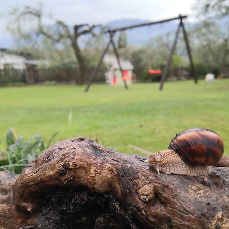 Appartamento Casa Maestri Malcesine Esterno foto