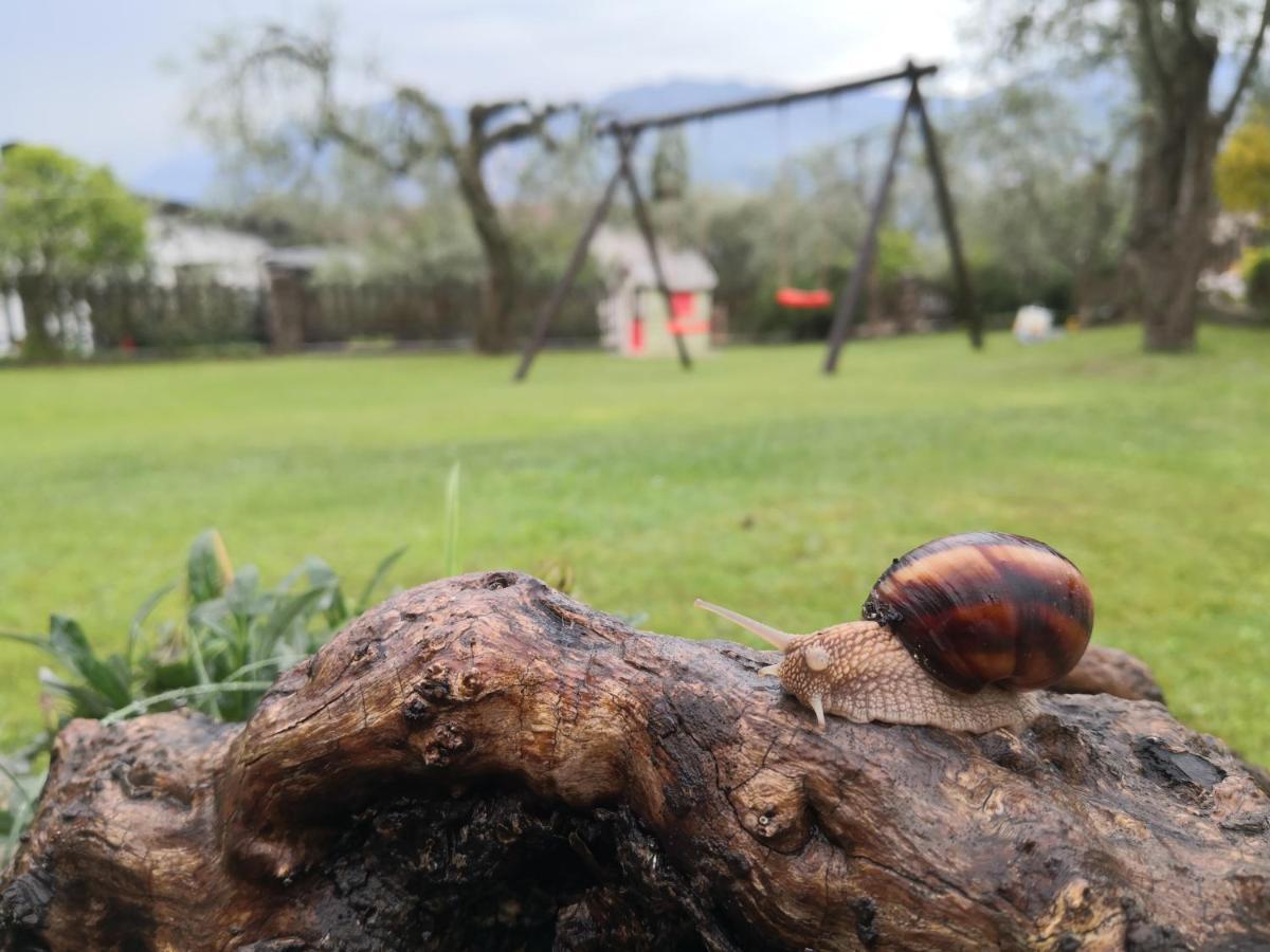 Appartamento Casa Maestri Malcesine Esterno foto